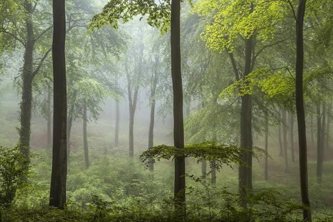 Årets landskapsfotograf 2018-foto