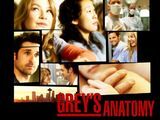 Greys anatomi 