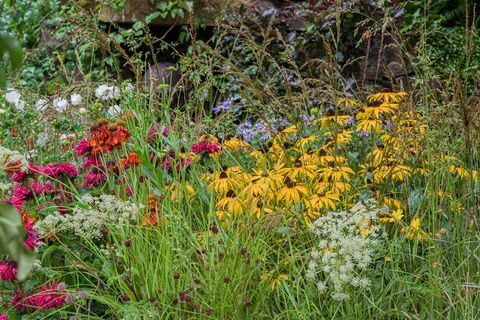 førerhundenes 90-årsjubileumshage designet av adam woolcott og jonathan smith sponset av førerhunder for blindeforeningen artisan garden rhs chelsea flower show 2021 stand no 566