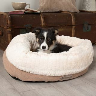 Scruffs Ellen Donut Dog Bed