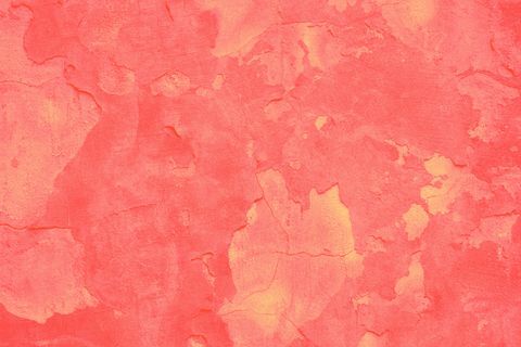 Adobe Stock for Årets Pantone-farge 2019 - Living Coral