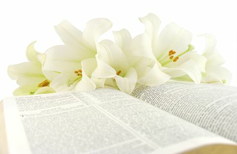 bibel med påskeliljer