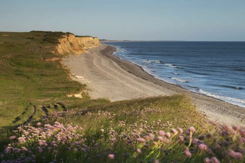 Sheringham Park strand © National Trust Justin Minns