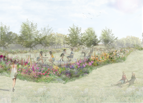 rose tea garden, rhs feature garden, designet av pollyanna wilkinson, rhs hampton court palace garden festival 2022