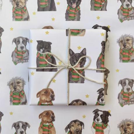 streetvet lanserer julekort for å støtte hjemløshet hos kjæledyr