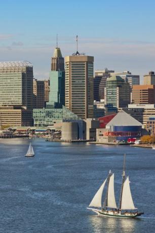 baltimore skyline og indre havn med tre seilbåter på vannet i forgrunnen og to seilbåter i bakgrunnen