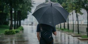 bakfra av smart kausal mann som holder paraply og går langs parken i en regnfull by