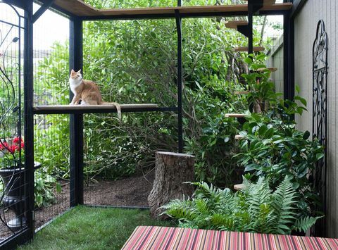 catio kabinett