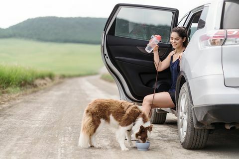 en ung latinsk kvinne som sitter i bilen sin med døren åpen på en vei på landet og en hund som drikker vann fra en bolle