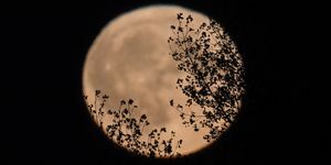 Harvest Moon stiger over Somerset