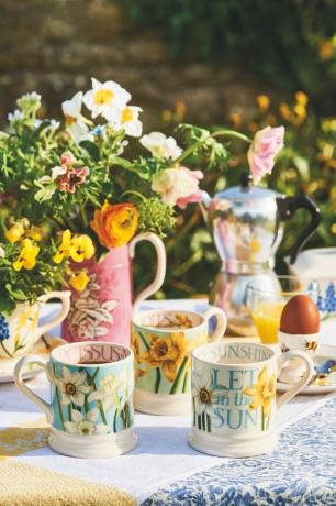 emma bridgewater vårsamling