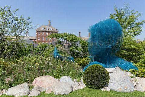 The Myeloma UK Garden - Chelsea Flower Show 2018