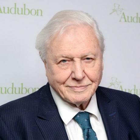 david attenborough portrett