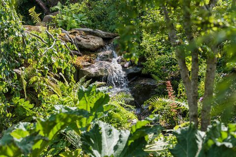 Kate Middleton Tilbake til Nature garden