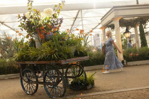 inne i den store paviljongen på rhs chelsea flower show 2021