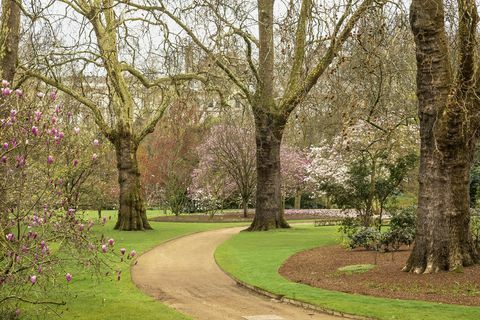 buckingham palace gardens avslørt i en ny bok