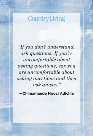 sitat fra chimamanda ngozi adichie