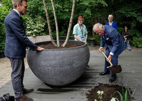 torsdag 17. juni 2021 bildekreditt charlotte grahampicture viser hrh prinsen av wales gå på sykehuset og også åpne amaffihagen på sykehuset i ferd med å møte Jamie Butterworth chelsea westminster hospital garden minnesmerke amaffi hage avduket med treplanting av prinsen av wales til hyllest til covid-ofre og for å støtte sykehusansattes velvære hundrevis av fantastiske planter har blitt installert på chelsea westminsterhospital nhs foundation trust staff wellbeing garden til minne om pasienter som mistet livet til coronavirus i dag, hrh prinsen av wales, ble ledsaget av helsesekretær Matthancock, da de møtte unge mennesker som har blitt rekruttert fra prinsens tillit til å jobbe på sykehuset. Prinsen av Wales plantet en kirsebærblomst tree at the garden donert av parfymehuset amaffi, som opprinnelig var bestemt til å vises på rhschelsea blomsterutstilling 2020 før showet ble kansellert da nedstengningen begynte statssekretær for helse- og sosialomsorg, matt hancock, plantet også et tre og snakket med ansatte og besøkende som vil dra nytte av skjønnheten og lyet som hagen gir hagen, designet av jamie butterworth of form plants, ble begavet av amaffi parfymehus i mai 2020 for å takke nhs personell for deres arbeid under pandemien, den 250 kvm store hagen har gitt ansatte og pasienter en følelse av pusterom i naturen mens de besøkte og bodde på sykehuset det siste året i forrige uke, donerte amaffi parfymehus og formplanter, basert i Windsor, de 900 plantene, som ble nøye installert i kjærlig minne om sykehusets koronavirusofre, de inkluderer allium caeruleum, geum prinsesse juliana, astrantia major alba og salvia caradonnathe-grunnlegger og presidenten for amaffi parfymehus m amaffi sa " vi var bare altfor glade for å gi hagen til chelsea westminster hospital nhsfoundation trust som en takk til alt medisinsk personell for deres uselviske arbeid under pandemi, i håp om at skjønnheten og duften til våre nøye utvalgte blomster og busker ville løfte pasienter og gi dem trøst" disse nye plantene gjenspeiler vår opprinnelige visjon om en duftende trekke seg tilbake, og vi håper at hagen vår vil gjøre det mulig for besøkende å fordype seg i naturens gjenopprettende kraft," sa administrerende direktør for formplanter, jamie butterworth, " de menneskelige kostnadene ved pandemien har vært virkelig forferdelig, og jeg har blitt så rørt av sykehuspersonalets helteanstrengelser for å redde liv i denne hjerteskjærende tiden" et år etter å ha opprettet amaffihagen i chelsea westminster hospitalnhs foundation trust, å nå gjøre plass til 900 nye planter er en dypt rørende opplevelse hver plante representerer et liv tapt for dette forferdelige viruset og prosessen med å legge hver enkelt plante inn i jorden har vært en nøktern og dypt oppmerksom opplevelse» Lesley Watts, administrerende direktør i chelsea og westminster hospital nhsfoundation trust, sa «denne hagen har forvandlet det som var en trist tom gårdsplass til noe storslått som har gitt våre ansatte og pasienter en følelse av eskapisme i noen svært mørke tider " det er ingen tvil om at naturens helbredende kraft gir balsam det har vært veldig nødvendig under denne pandemien, vi er takknemlige til amaffi for å donere hagen etter at rhs chelsea flower show 2020 ble avlyst og for å danne planter for donasjon av planter som ære de som har mistet livet, disse handlingene av vennlighet og generøsitet vil berøre mange hjerter” den aromatiske og beroligende hagen ble først installert over en tredagers periode i begynnelsen av pandemi i mai i fjor, og skaper et lyst og vakkert duftende rom, den plantefylte flerårige hagen, og tilbyr et fristed for å løfte humøret til ansatte og pasienter i sentre rundt store dramatisk duftende, topiære kupler og flere flerstammede trær, inkludert cornus, mispel og virburnum, trekronen har blitt underplantet med frodig løvverk og kombinasjoner av roser, dianthus, iris, allium, lupiner og salvia og duftende eviggrønne busker, inkludert sarcococca hookeriana og osmanthus, for å gi helårsstrukturen lenke til bilder av hagen er her intervjuer med amaffi kontakt jess cook på jesssilverballprcom eller ring 07810 771177redaktørens notater om amaffi parfymehus wwwamafficomamaffi parfymehus er et nytt, unikt, overdådig duftmerke Bestående av en samling av de rikeste og mest luksuriøse parfymene i verden, legemliggjørelsen av klasse, eleganse og kultur, ligger deres nye flaggskipbutikk i london på 8 sloane street, london sw1 amaffi parfyme er kun tilgjengelig fra amaffi parfymehus-butikkene i london, new york og moscowamaffi parfymehus bruker bare verdens fineste, mest dyrebare sjeldne og organiske ingredienser i sine ekstraordinære dufter, inkludert champakaabsolute fra Filippinene, agarwood, rose centifolia fra gress, en av de mest eksklusive rosene i verden som skal brukes i dufter, narcissus andjasmine absolute hver parfyme holdes i en utsøkt håndlaget flaske, skåret av det fineste glass og krystall, forgylt med gull og sølvbelegg og håndutsmykket av mesterhåndverkere i Frankrike designet som unike kunstneriske kreasjoner som skal verdsettes og vises, gjenspeiler disse enestående vakre flaskene karakteren, stemningen og stemningen til hver duft og presenteres i en trelakkert boks som gjenspeiler anledningen til hver enkelt duft som er unik i jakten på perfeksjon, får amaffi-parfymekunstnerne absolutt frihet i sin kreativitet, frigjort fra begrensningene av truser og budsjett og ingredienser, slik at de kan produsere de mest fascinerende duftene som er mulig for å forestille seg at hvert amaffi-mesterverk er laget til det høyeste mulige standarder, amaffi bruker kun alkohol i sin parfymefremstillingsprosess, aldri vann for å eliminere muligheten for at vannets " minne" påvirker duften og de som bærer den. kreativ prosess tar omtrent tre år fra unnfangelse til ferdigstillelse av produktet, og gjenspeiler detaljene, håndverket og kunstnerskapet involvert i produksjonen av hver unike og dyrebare parfymeom chelsea og westminster hospital nhs foundation trustwwwchelwestnhsukthe trust administrerer chelsea og westminster hospital, west middlesexuniversity hospital og en rekke community seksuell helse og hiv-tjenester over hele london sysselsetter over 7 000 ansatte som tar seg av nesten én million mennesker, trusten tilbyr en rekke kliniske spesialisttjenester i tillegg til det generelle sykehuset tjenester for folk som bor lokalt, som inkluderer ae og barsel ved begge sykehusstedene jamie butterworth, grunnlegger md form plantswwwformplantscomgjennom hele karrieren jamie drømte om å drive sin eget myke landskapsarbeid, med det eneste formålet å bringe vakre hager, kvalitetsplanter og overlegen service til industrien høsten 2018, ble denne visjonen virkelighet. hagebruk ble født hans etos av lidenskap og hagebruksekspertise utgjør bærebjelken i virksomheten da administrerende direktør jamie bærer flere hatter, som strekker seg utenom den daglige driften av virksomheten, så vel som leder opp formplanter, er Jamie en av åtte ambassadører for verdens største veldedighetsorganisasjon for hagearbeid, rhs han er også hageekspert for bbc radio london, samt en bidragsyter til talk radio og bbc radio berkshire en forfatter også, jamies debutpublikasjon '50 plan