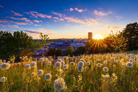 Sheffield solnedgang