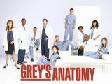 Greys anatomi 