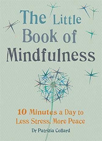 Den lille boken om mindfulness