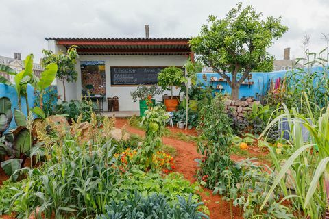 camfed garden chelsea blomsteroppvisning