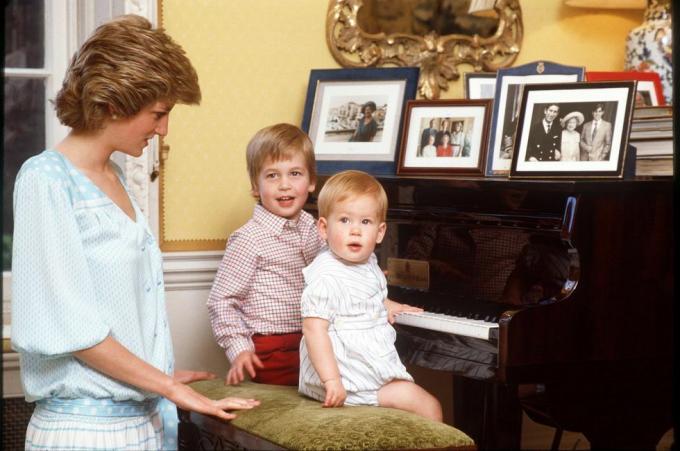 bilder av prinsesse diana hjemme