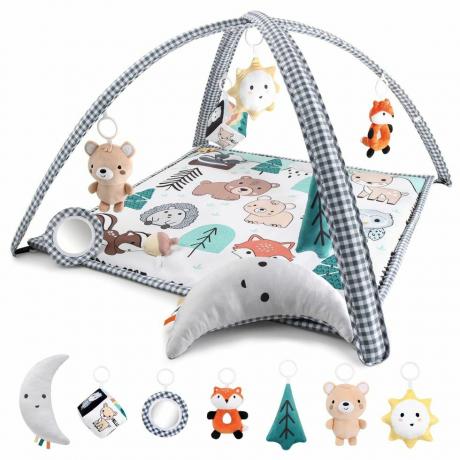 7-i-1 Baby Play Gym