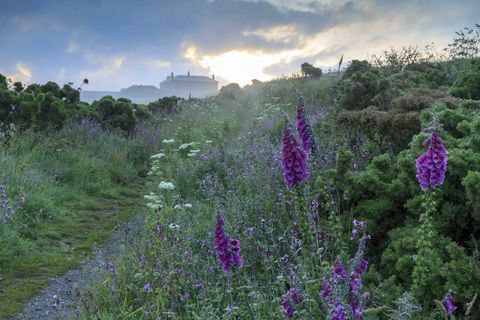 Pentire Head, Cornwall © National Trust Images John Miller