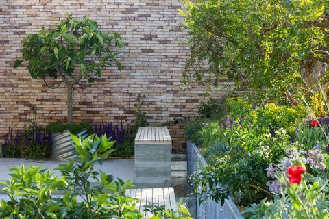 The Lemon Tree Trust Garden - Chelsea Flower Show 2018