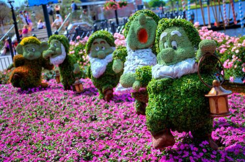 9 Can't-Miss Flower Festivaler å besøke denne våren