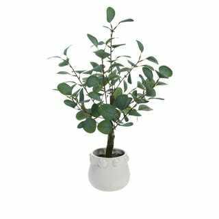 Faux Eucalyptus i en keramisk gryte