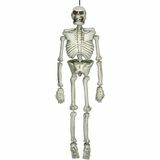 Halloween Hanging Life Size Human Skeleton