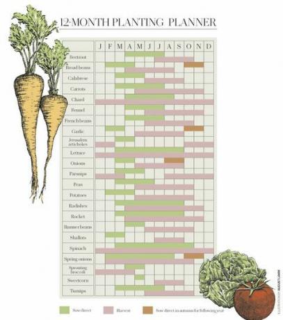 grønnsaksplantingskalender