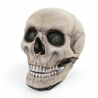 Skull Bean Bag Chair