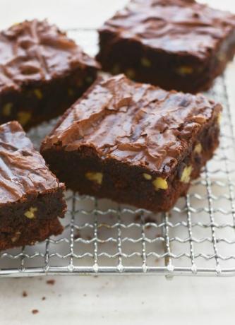 katharin hepburn brownies