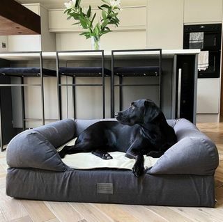 The Lounger Bed Dog Bed