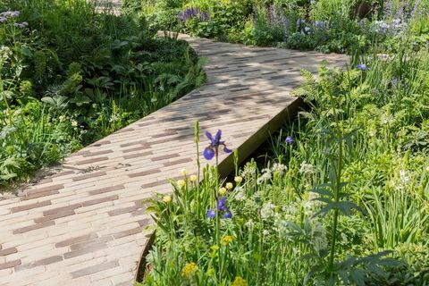 RHS Feel Good Garden - Chelsea Flower Show 2018