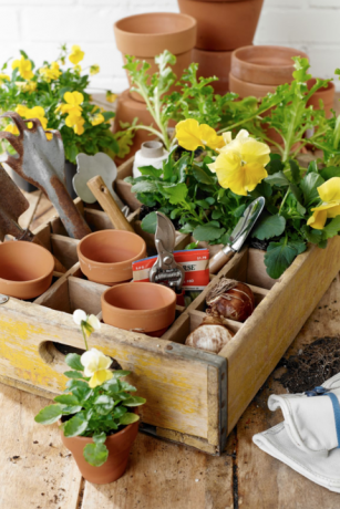 et pottestasjonsoppsett med potter og gule blomster som ligger i en årgangsbruskasse