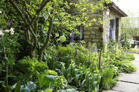 Velkommen til Yorkshire Chelsea Flower Show garden 2019 Mark Gregory