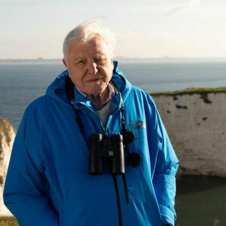 wild isles, 12 02 2023,våre dyrebare øyer, 1,sir david attenborough, sir david attenborough introduserer wild isles-serien ved daggry på old harrys rocks, dorset, uk 2022,silverback-filmer, chris howard