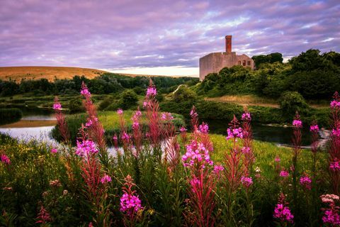 Aberthaw naturreservat, Barry, Wales