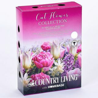 Country Living Cutflower Collection