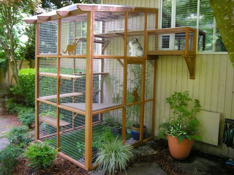 catio med tunnel