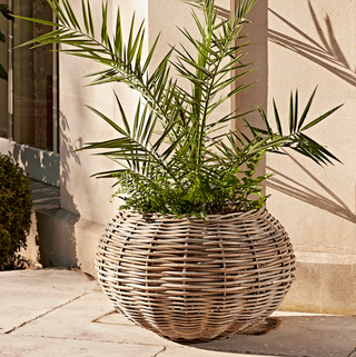 Rotting Rattan Ball Planter