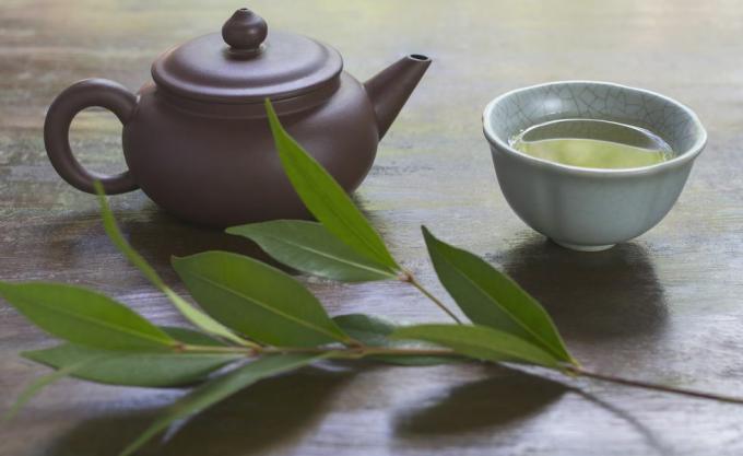 Stilleben med keramisk tekanne, kopp grønn te og gren av teplante