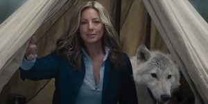 sarah mclachlan busch light super bowl reklame