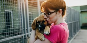 ung kvinne adopterer hund fra et krisesenter
