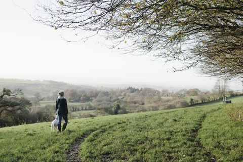 En kvinne som går med en hund på høy bakke med utsikt over landskapet.
