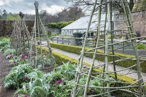 willow wigwams plantestøtter